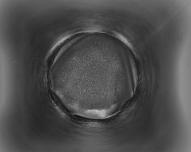 X0000086761456200705041438