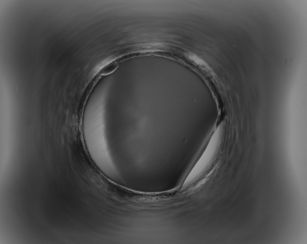 X0000086761457200705041438