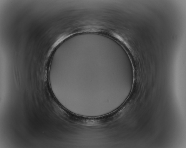 X0000086761459200705041438