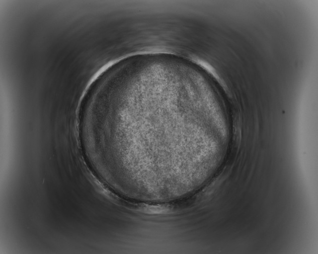 X0000086761460200705041438