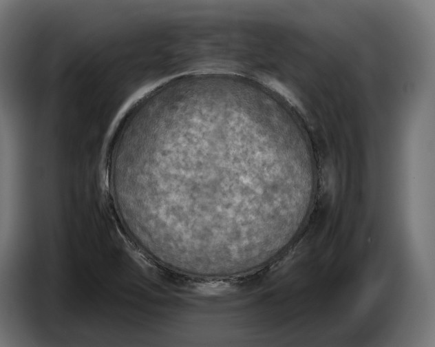 X0000086761462200705041438