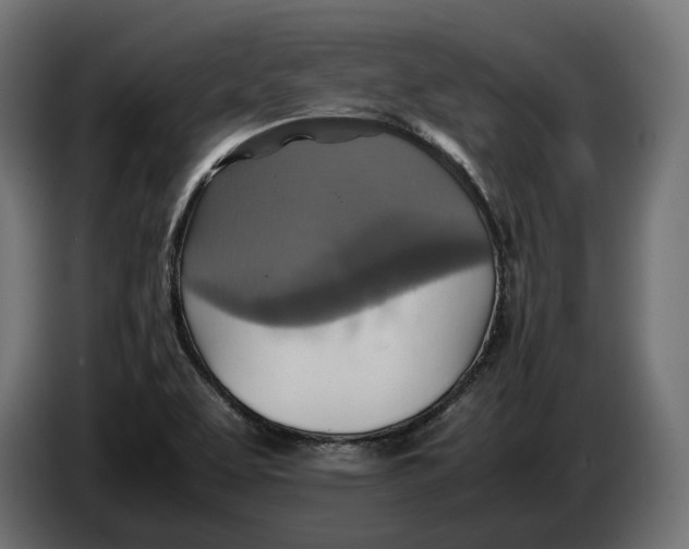 X0000086761463200705041438