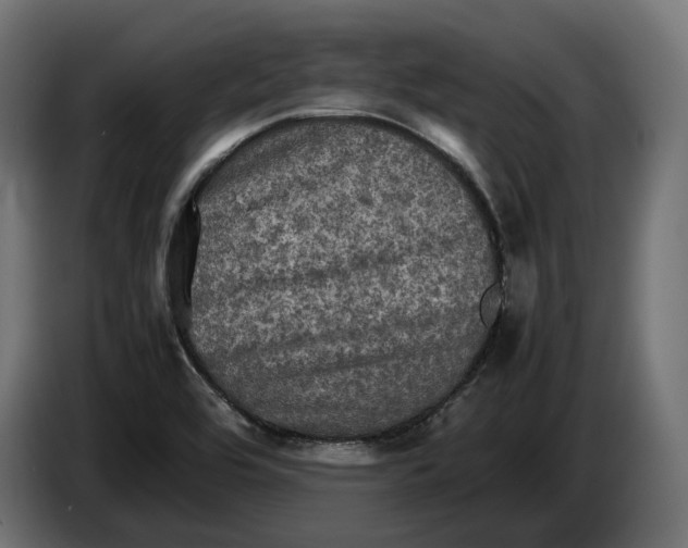 X0000086761464200705041438