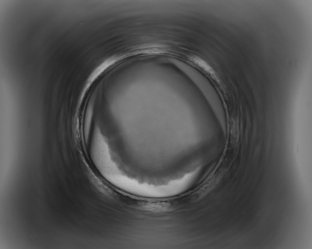 X0000086761466200705041438