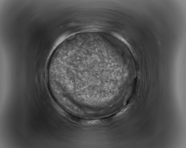 X0000086761467200705041438