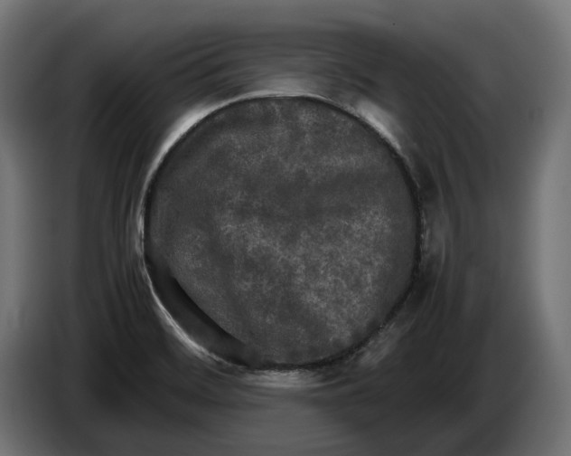 X0000086761468200705041438