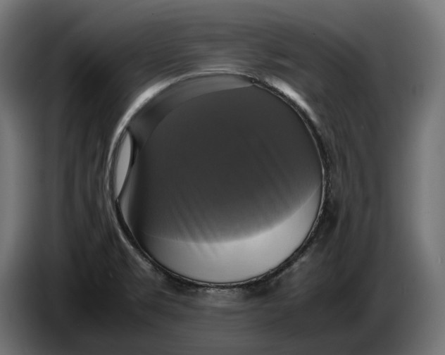 X0000086761469200705041438