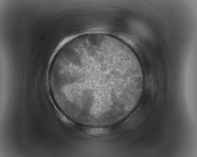 X0000086761470200705041438