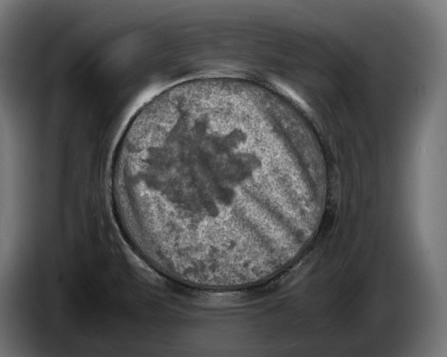 X0000086761471200705041438