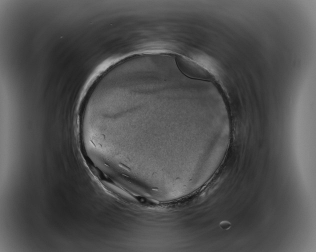 X0000086761472200705041438