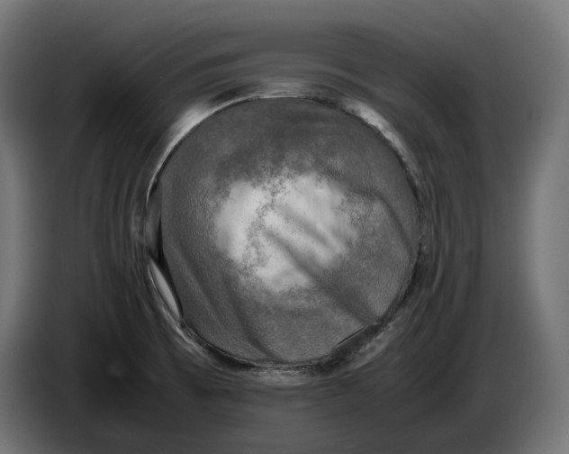 X0000086761473200705041438