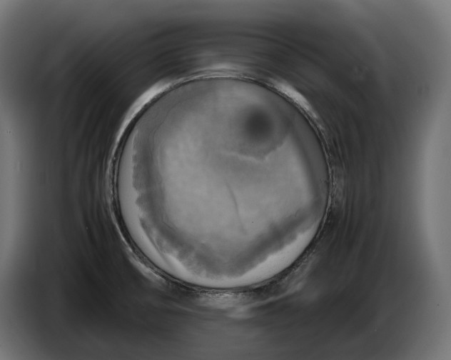 X0000086761474200705041438