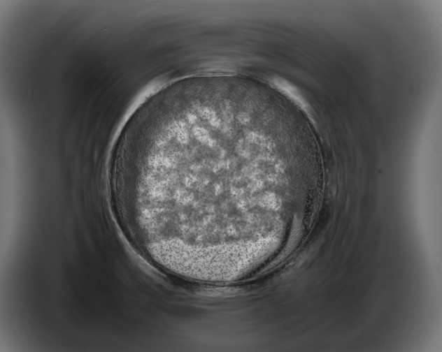 X0000086761475200705041438