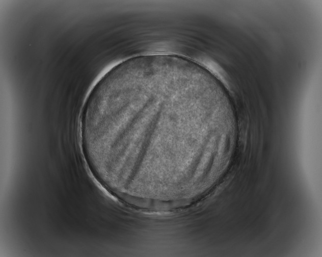 X0000086761476200705041438