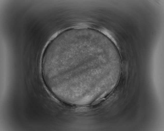 X0000086761477200705041438