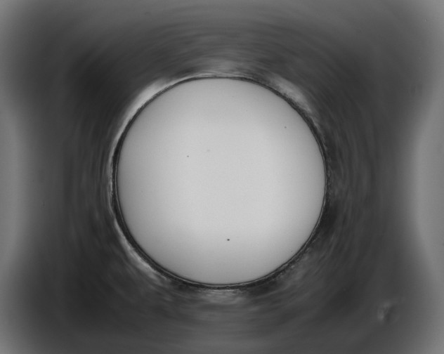 X0000086761479200705041438