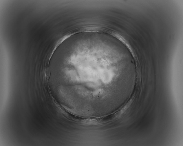 X0000086761481200705041438