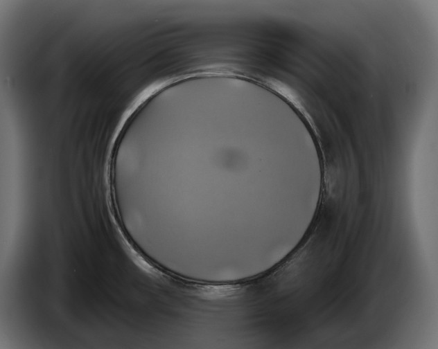 X0000086761482200705041438