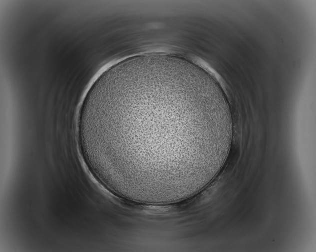 X0000086761483200705041438