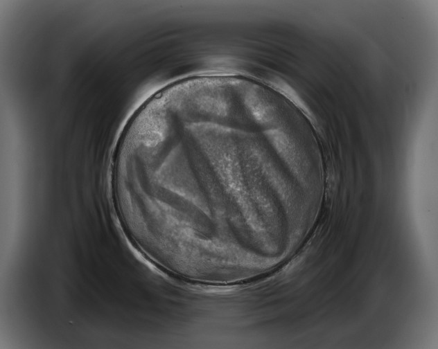 X0000086761484200705041438