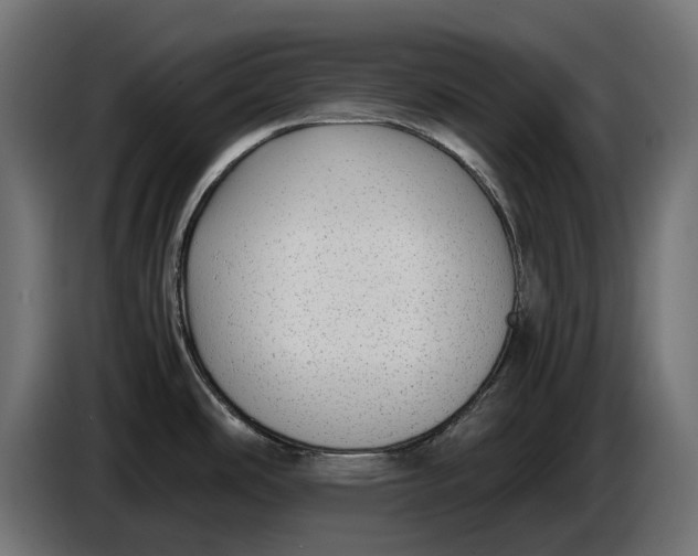 X0000086761486200705041438