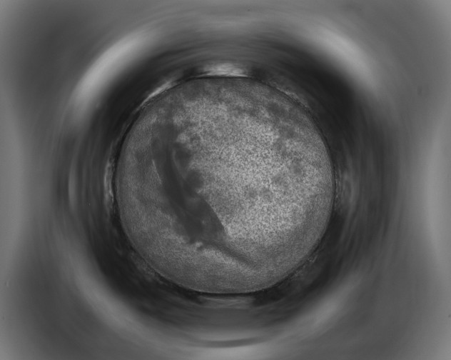 X0000086761487200705041438