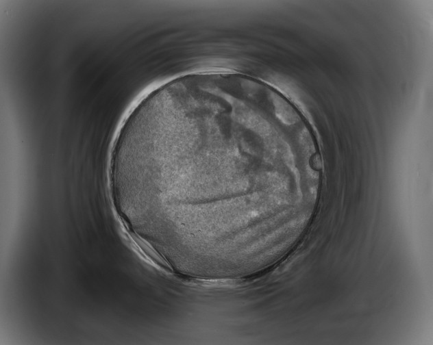 X0000086761488200705041438