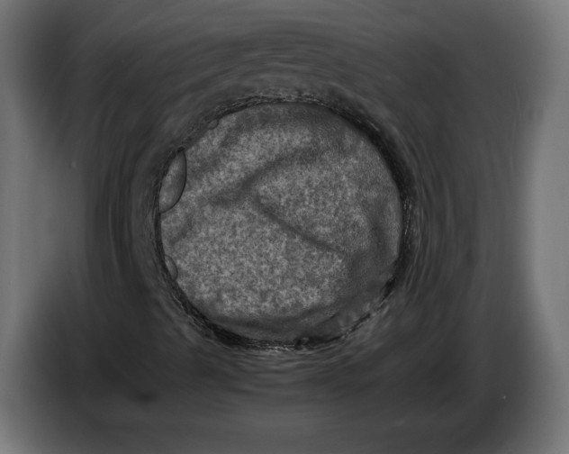 X0000086761489200705041437