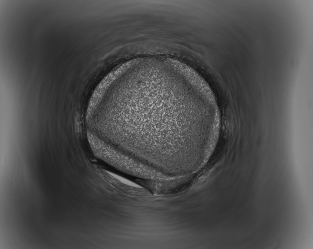 X0000086761490200705041437