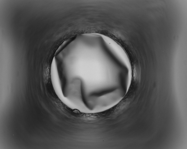 X0000086761492200705041437