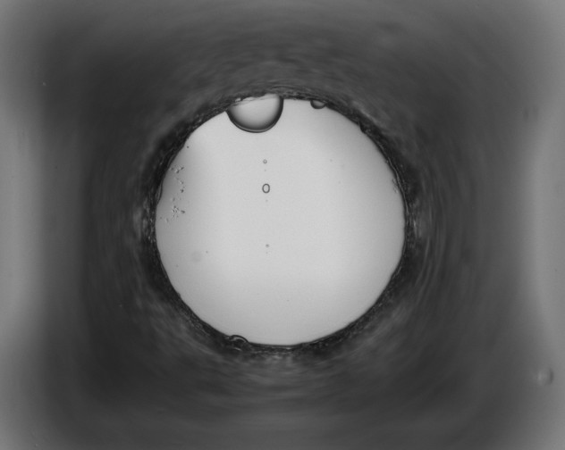 X0000086761495200705041437