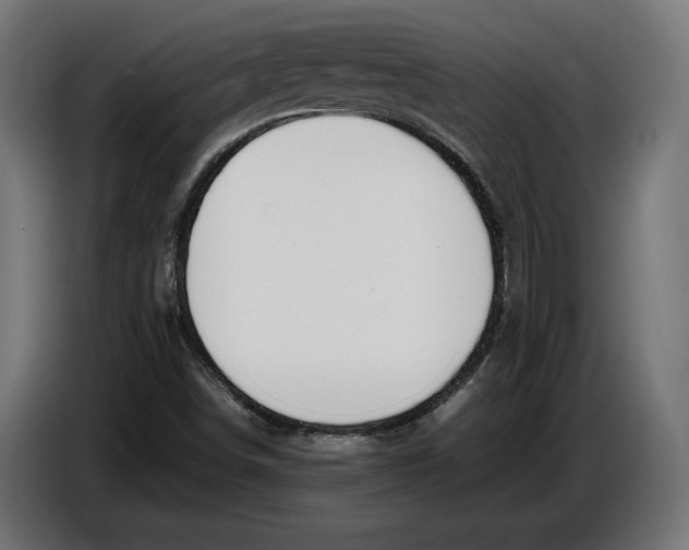 X0000086761498200705041437