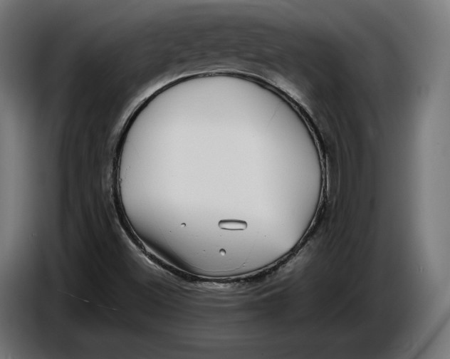 X0000086761500200705041438