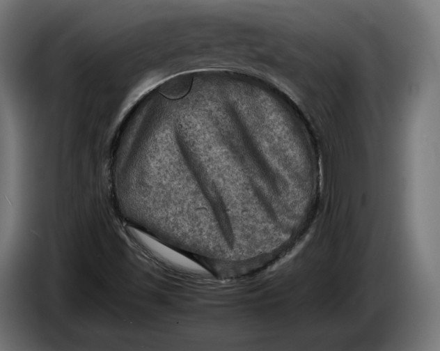 X0000086761501200705041438