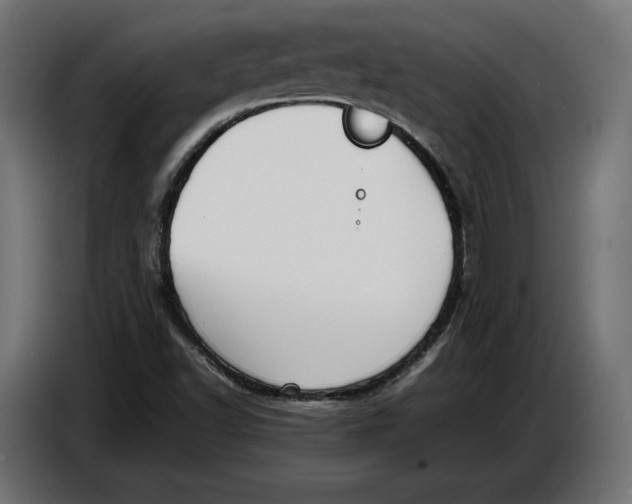 X0000086761502200705041438