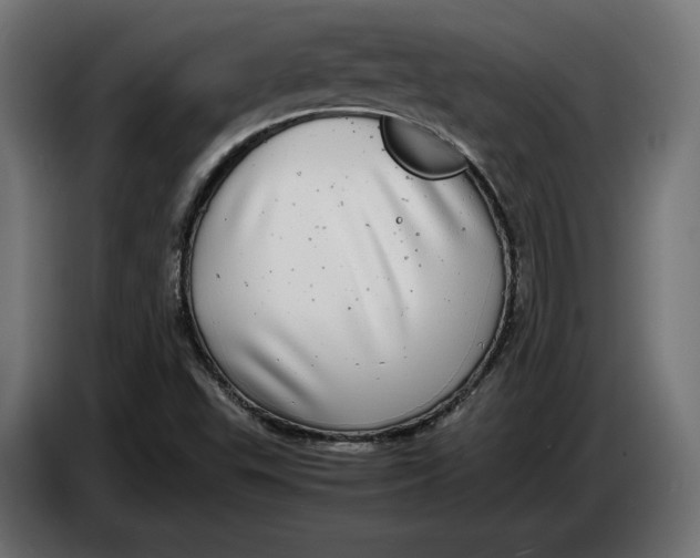 X0000086761503200705041438