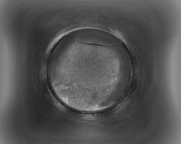 X0000086761504200705041438