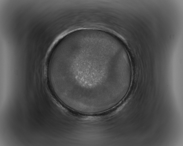 X0000086761506200705041438