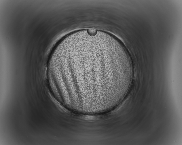 X0000086761507200705041438