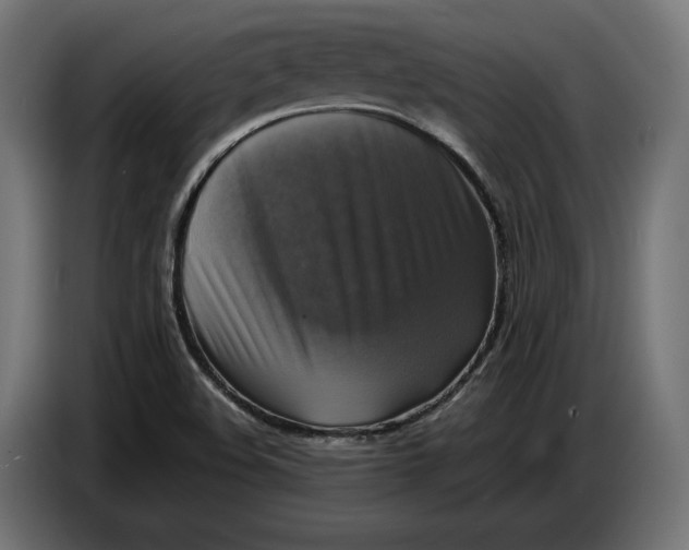 X0000086761508200705041438