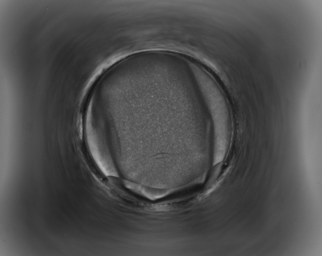 X0000086761509200705041438