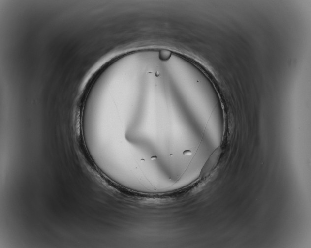 X0000086761510200705041438