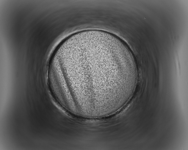 X0000086761511200705041438