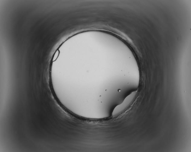 X0000086761512200705041438