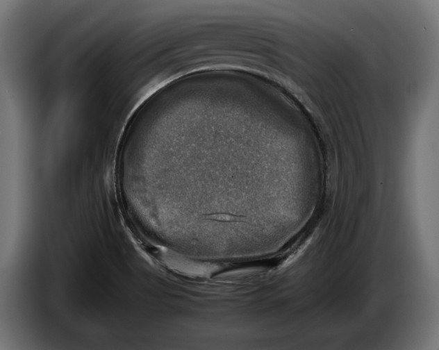 X0000086761513200705041438