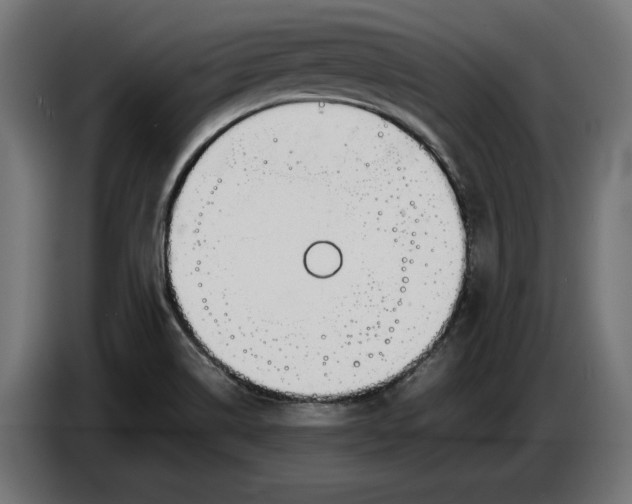 X0000086761514200705041438