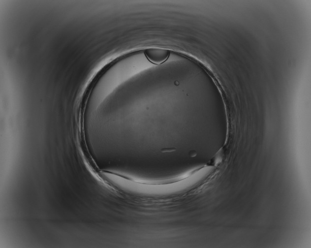 X0000086761515200705041438