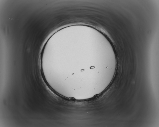 X0000086761516200705041438