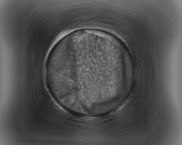 X0000086761517200705041438