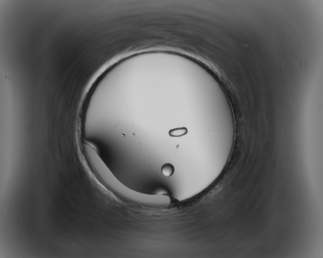 X0000086761518200705041438